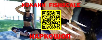 ешки Кингисепп