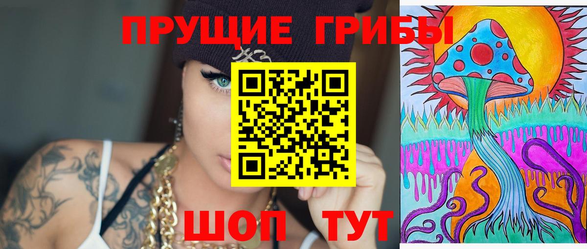 Искитим  Псилоцибиновые грибы ЛСД  Вход с VPN 